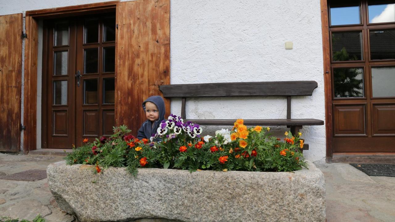 Penzion Mauritz Nová Pec Buitenkant foto
